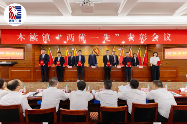 木渎镇“两优一先”表彰会议颁奖仪式